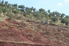 فرسایش خاک در لرستان سه برابر متوسط کشوری