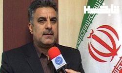 مجازات سنگین در انتظار متخلفین قطع اشجار جنگلی