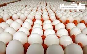 تولید ۹ هزار تن تخم مرغ در لرستان