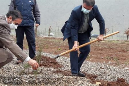 کاشت ۲ هزار نهال به یاد شهدای مدافع حرم در  لرستان