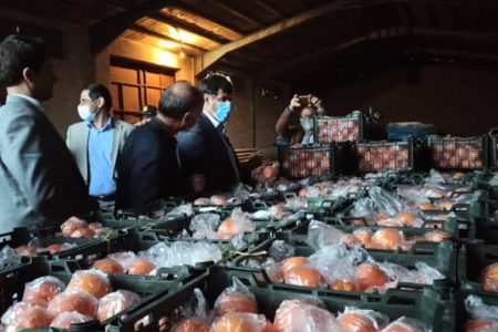کنترل قیمت میوه شب عید و تامین آن در کوهدشت