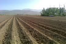 رفع مشکل آب کشاورزی در بیرانشهر در اولویت