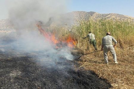 فرهنگ سازی و تهیه تجهیزات پیشرفته راه کاهش خسارات ناشی از آتش سوزی در جنگلها و مراتع