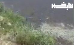 الزام کارخانه تولید الکل به رفع کامل آلودگی ایجاد کرده در رودخانه