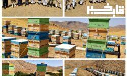 رتبه نخست تولید عسل در دلفان