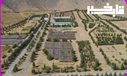 تولید ۳۰ میلیون اصله نهال در نهالستان های لرستان