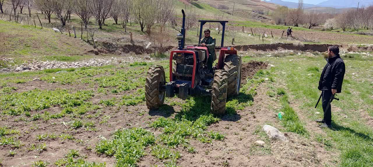 گیاهان غیر مجاز در دلفان شخم زده میشوند