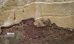 تبدیل ۴.۸ میلیارد مترمکعب از بارندگیهای لرستان به رواناب