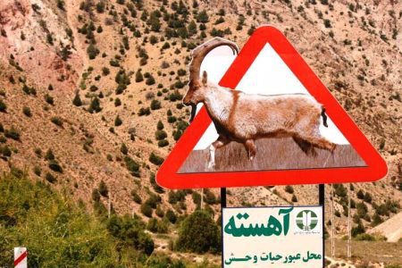 آغاز نصب تابلوهای هشدار عبور حیات‌وحش در لرستان