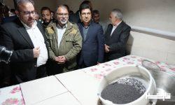 اختصاص بالاترین اعتبار از محل مولدسازی به شیلات لرستان