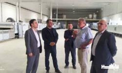 پیشرفت ۸۰ درصدی بزرگترین طرح کیک و کلوچه و بیسکویت و شکلات غرب کشور