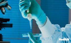 راه اندازی بخش تشخیص هپاتیت C در آزمایشگاه مرجع بهداشت دانشگاه علوم پزشکی لرستان