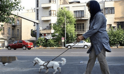 خانه، حیات وحش نیست!