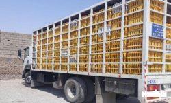الزام خودروهای حمل مرغ به نصب موقعیت یاب