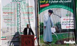 اجرای عمومی درختکاری مستلزم درک مناسب از ظرفیت های خاک و درخت