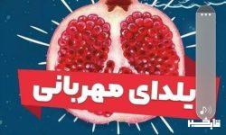 اجرای پویش یلدای مهربانی توسط کمیته امداد لرستان
