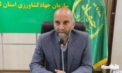 ضرورت مدیریت ریسک و پوشش بیمه محصولات کشاورزی در لرستان