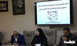 برگزاری سلسله نشست‌های تخصصی با اصحاب رسانه لرستان