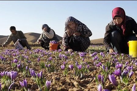 مهاجرت معکوس روستاییان با تسهیلات اشتغالزایی برای روستاییان