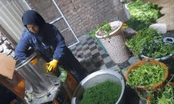 راه اندازی شغلی برای تمام فصول