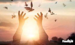 آزادی ۲۰ زندانی جرائم غیرعمد در لرستان