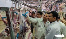 نقش مهم اقدامات بهداشتی در راستای امنیت غذایی