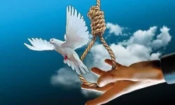 بخشش محکوم به قصاص پس از ۱۱ سال در دلفان