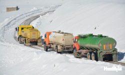 توزیع بیش از یک میلیون لیتر نفت سفید در مناطق عشایری لرستان