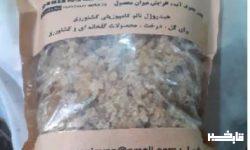 افتتاح شرکت دانش بنیان نانو سازان جوان دورود