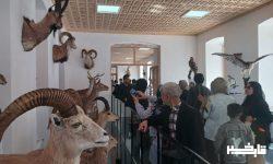 بازدید بیش از ۱۵ هزار مسافر و گردشگر از موزه تاریخ طبیعی و تنوع زیستی لرستان