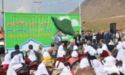 یک میلیون اصله نهال در لرستان کاشت شد