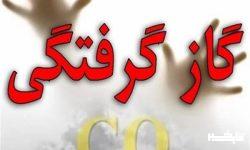 گاز گرفتگی مادر و کودک نورآبادی