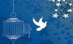 آزادی بانوی کارآفرین لرستانی توسط ستاد دیه و خیران