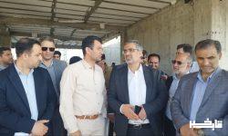 واگذاری ۴۵ هزار هکتار زمین به نهضت ملی مسکن در کشور