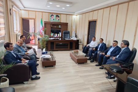 تاکید بر لزوم اجرایی شدن تفاهم نامه های همکاری مشترک بابیمه البرز 