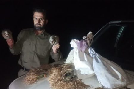 دستگیری صیادان غیرمجاز پرندگان وحشی در منطقه گرین