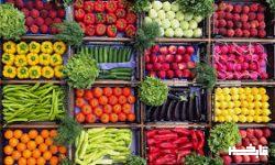 رشد ۲۲ درصدی ارزش صادرات محصولات کشاورزی در سال گذشته