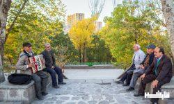 یک فرد را در چه سنی میتوان «پیر» دانست؟