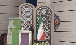 ضرورت اعمال مدیریت استراتژیک در منابع طبیعی