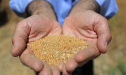 بدهی ۷ میلیاردی پیمانکاران به کاملیناکاران لرستانی