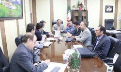 بررسی روند پرداخت تسهیلات طرح نهضت ملی مسکن