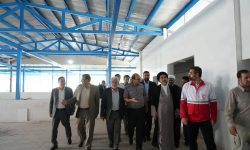 کشتارگاه صنعتی طیور پلدختر نیازمند ۲۰ میلیارد تومان تسهیلات دولتی