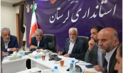 ضرورت جذب سرمایه گذار برای تکمیل زنجیره های ارزش