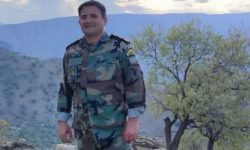 شناسایی ۴ نفر دیگر از عوامل حریقهای عمدی شهرستانهای چگنی،کوهدشت و پلدختر