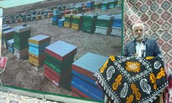 دستاورد صنعت عسل اشتغال و کسب و کار است