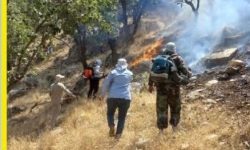 حریق منطقه باغله مرز معمولان و چگنی تا ساعاتی دیگر اطفاء خواهد شد