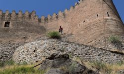 پیرایش بوته های هرز دیوارهای دژ شاپورخواست