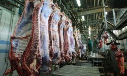 واردات بیش از ۳۲ هزارتن گوشت منجمد به کشور