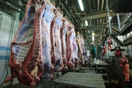واردات بیش از ۳۲ هزارتن گوشت منجمد به کشور