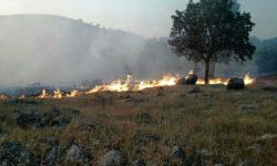 حریق در ۳۵ هکتار از مناطق تحت مدیریت محیط زیست لرستان